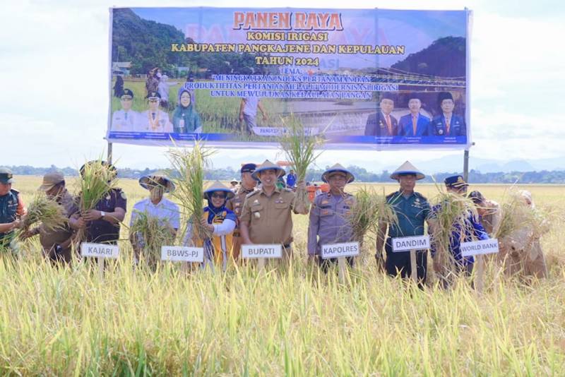 Produksi Padi Meningkat Usai Rehab Bendungan Tabo-tabo