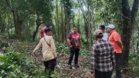 DLHK Sinjai Lakukan Kerja Bakti Di Pekuburan Demma