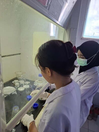 Tim PKM-RE Universitas Almarisah Madani Memformulasi Nanopartikel Curcumin dan Piperine Terinkorporasi Dissolving Microneedle membawa harapan baru dalam pengobatan malaria Tim PKM-RE Universitas Almarisah Madani Memformulasi Nanopartikel Curcumin dan Piperine Terinkorporasi Dissolving Microneedle membawa harapan baru dalam pengobatan malaria