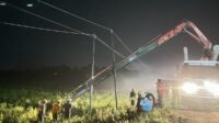 IMG-20241031-WA0002 PLN Tanggap Pulihkan Pasokan Listrik Akibat Cuaca Ekstrem di Kabupaten Sidrap