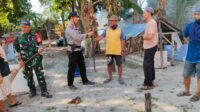 Oplus_131072 Sukseskan Pilkada Serentak, TNI-Polri di Sangkarrang Gelar Patroli Dialogis