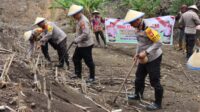 Dukung Program Ketahanan Pangan Nasional, Polres Soppeng Tanam Jagung di Lahan 7 Ha