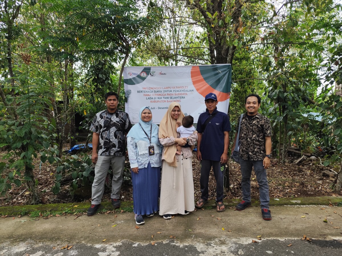Lampu UV Bertenaga Surya Tingkatkan Produktivitas Lada di Kabupaten Bantaeng