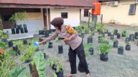 IMG-20241128-WA0165 Dukung Ketahanan Pangan, Polsek Ujung Tanah Tanam Sayuran Gunakan Polybag