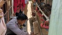 Oplus_131072 Bhabinkamtibmas Pattunuang Dampingi Masyarakat Wujudkan Ketahanan Pangan Mandiri