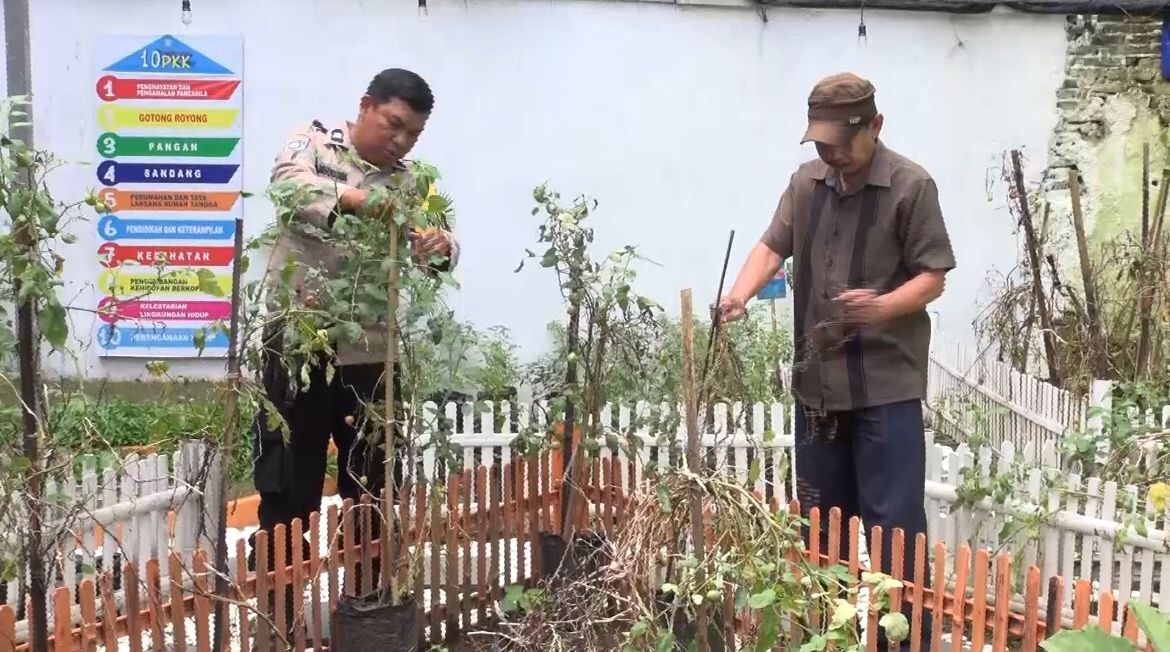 Ketahanan Pangan di Tabaringan, Solusi Utama Atasi Lonjakan Harga Cabe