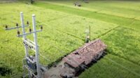 IMG-20250117-WA0006 Dukung Tranformasi Pertanian Modern, Electrifying Agriculture PLN Raih 53.539 Pelanggan Baru di Tahun 2024