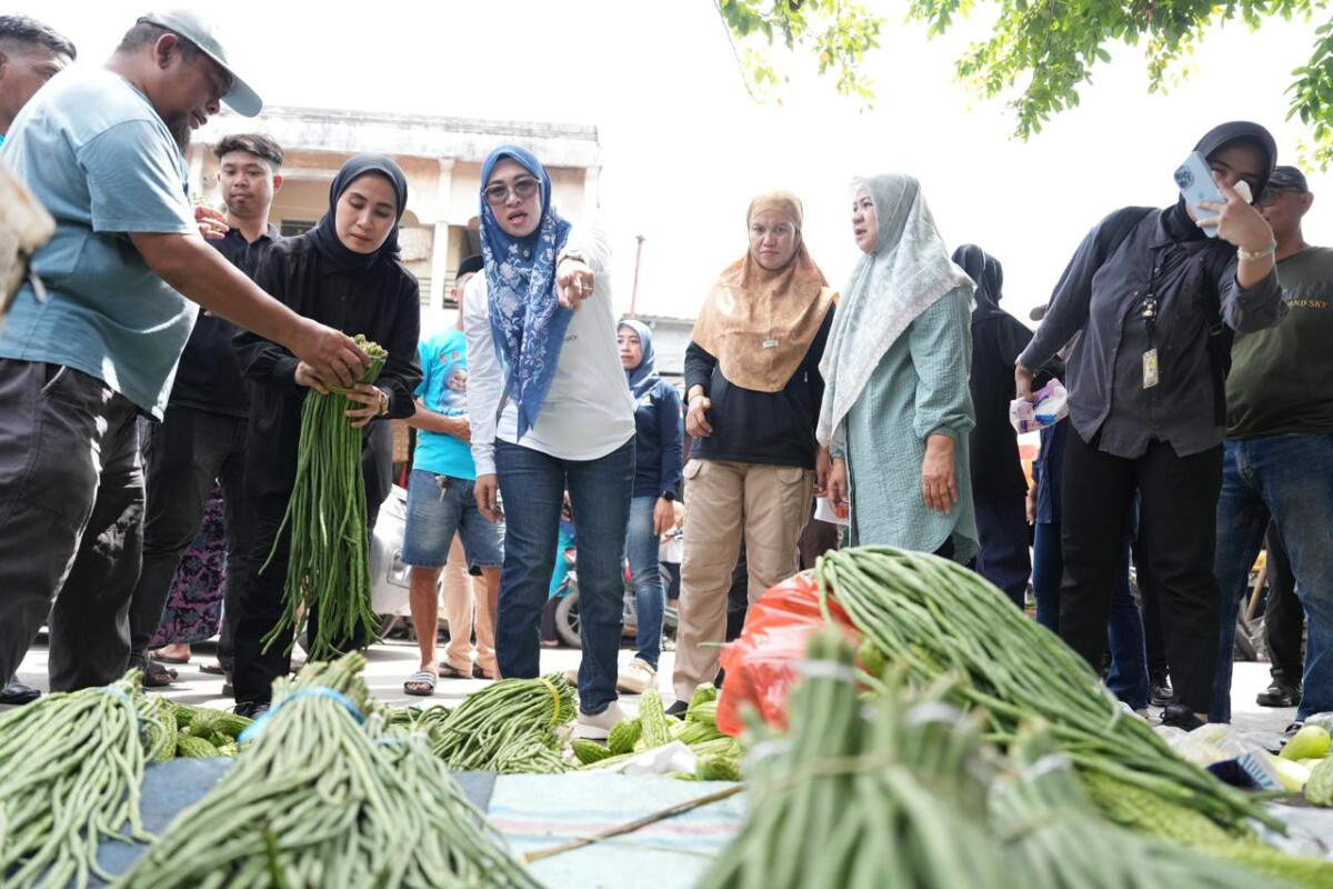 Bupati Gowa Tinjau Harga Bahan Pokok Jelang Hari Raya Idulfitri 1446 H