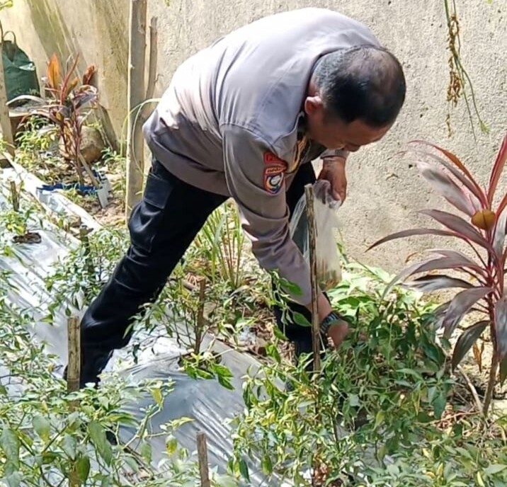 Warga Pulau Barrang Caddi Nikmati Hasil Program Pangan Polri dari Pekarangan