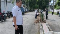 1000597272 Perumda AM Tirta Sinjai Bersatu Dukung Penuh Gerakan Sinjai Bersih melalui Penghijauan Kantor