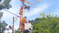 Tingkatkan Keandalan Jaringan Listrik, Pasukan Khusus PLN UID Sulselrabar Tuntaskan 82 Titik Pekerjaan di Kabupaten Bantaeng