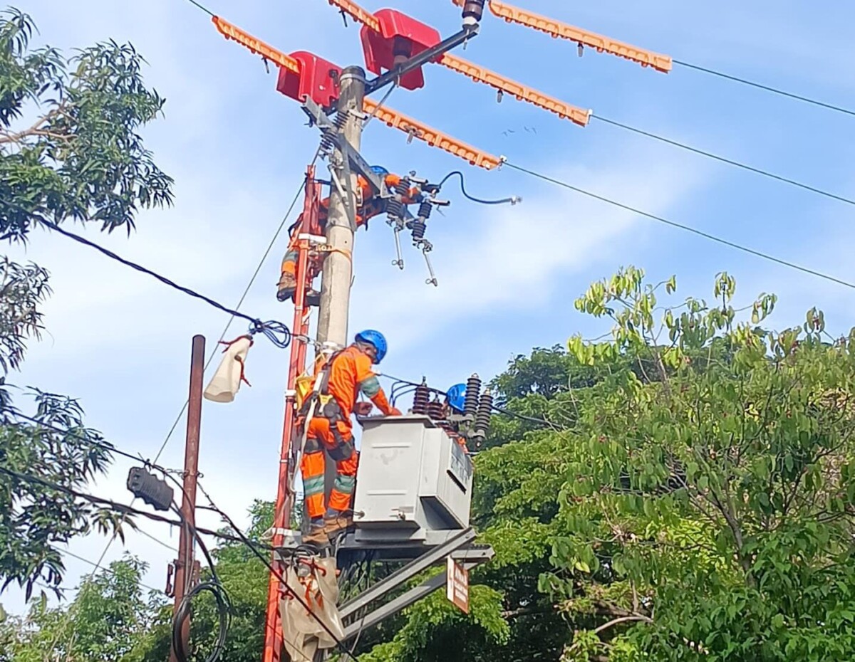 Tingkatkan Keandalan Jaringan Listrik, Pasukan Khusus PLN UID Sulselrabar Tuntaskan 82 Titik Pekerjaan di Kabupaten Bantaeng