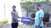 IMG-20250605-WA0029 Polres Pelabuhan Makassar Serahkan Tujuh Ekor Sapi Kurban ke Baznas