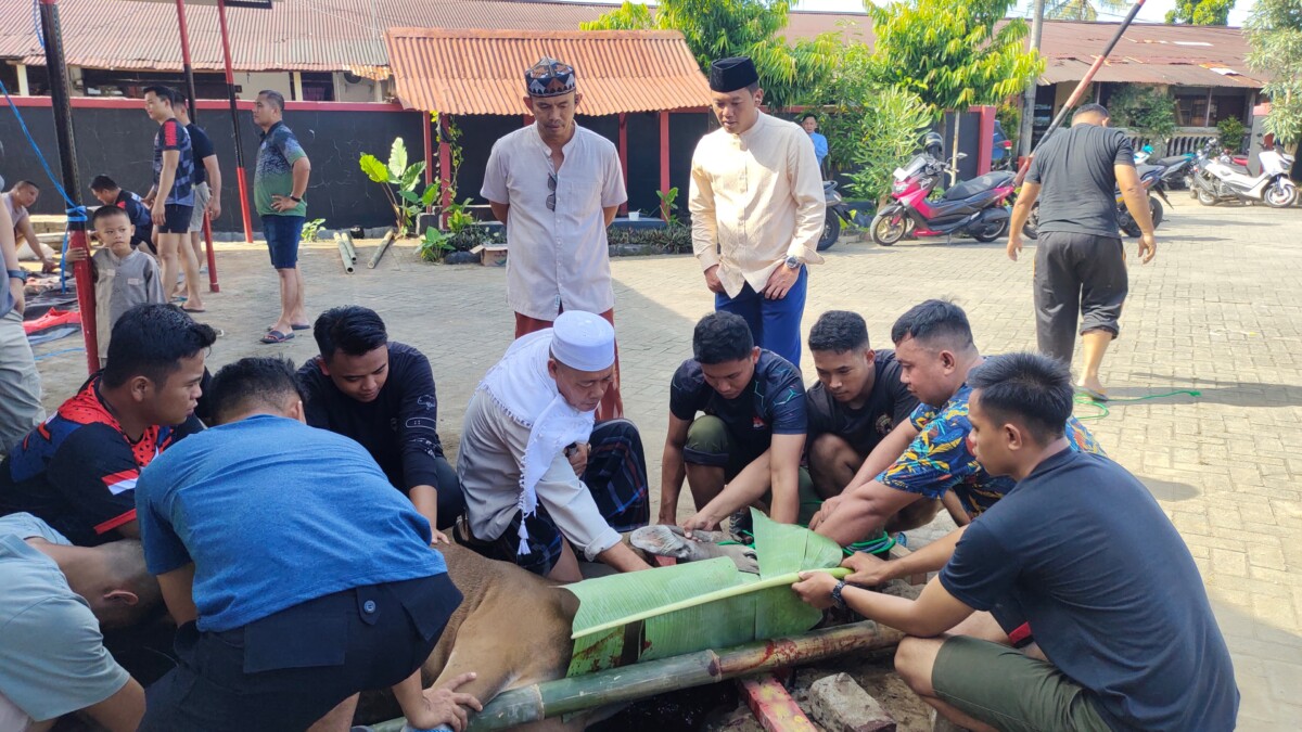 Sisihkan Gaji Rp 200 Ribu Selama Setahun, Personel Brimob Sulsel Kurban 169 Sapi dan Tiga Kambing