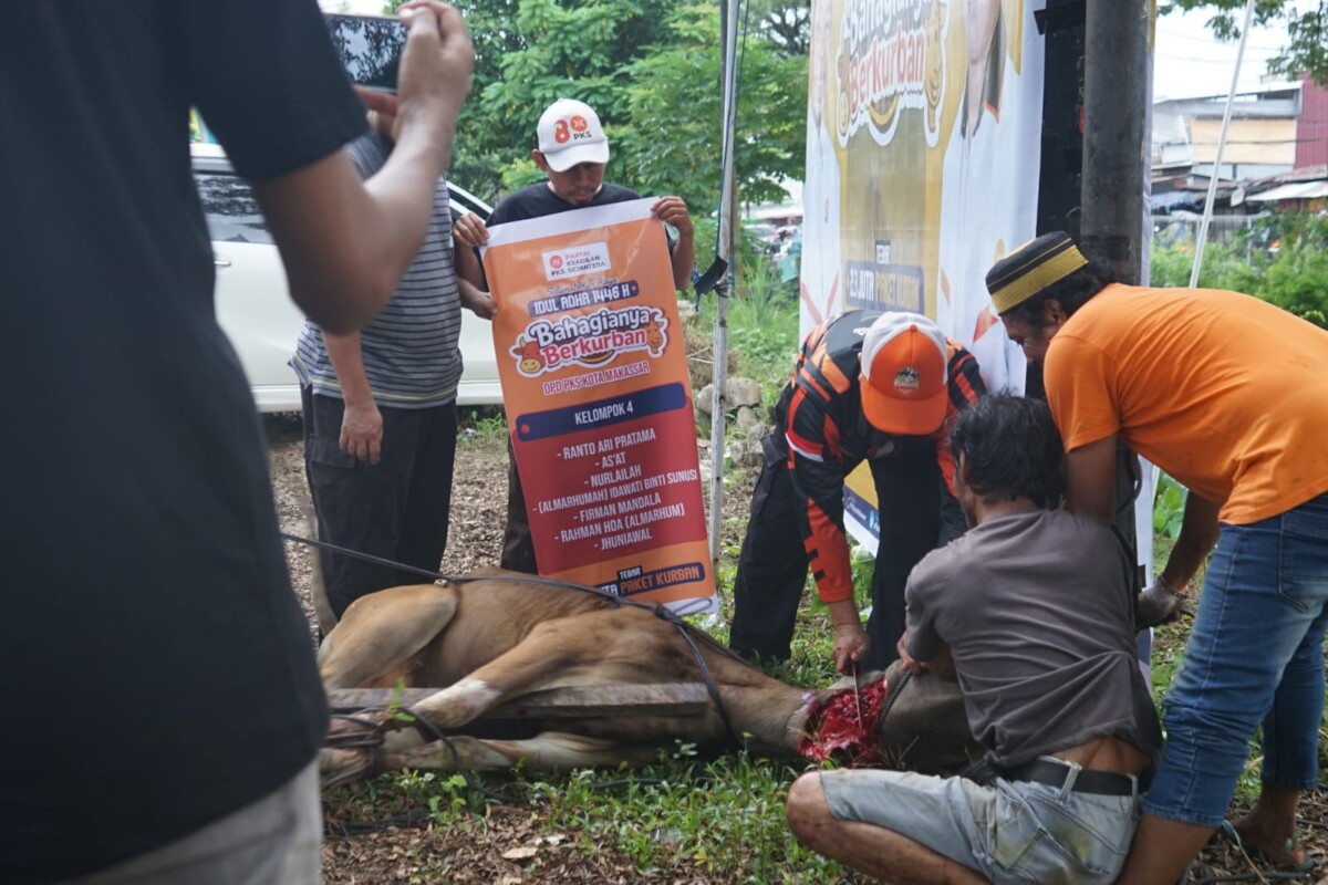 Penuhi Target 2,3 Juta Paket Kurban, PKS se-Kota Makassar Sembelih 25 Ekor Sapi