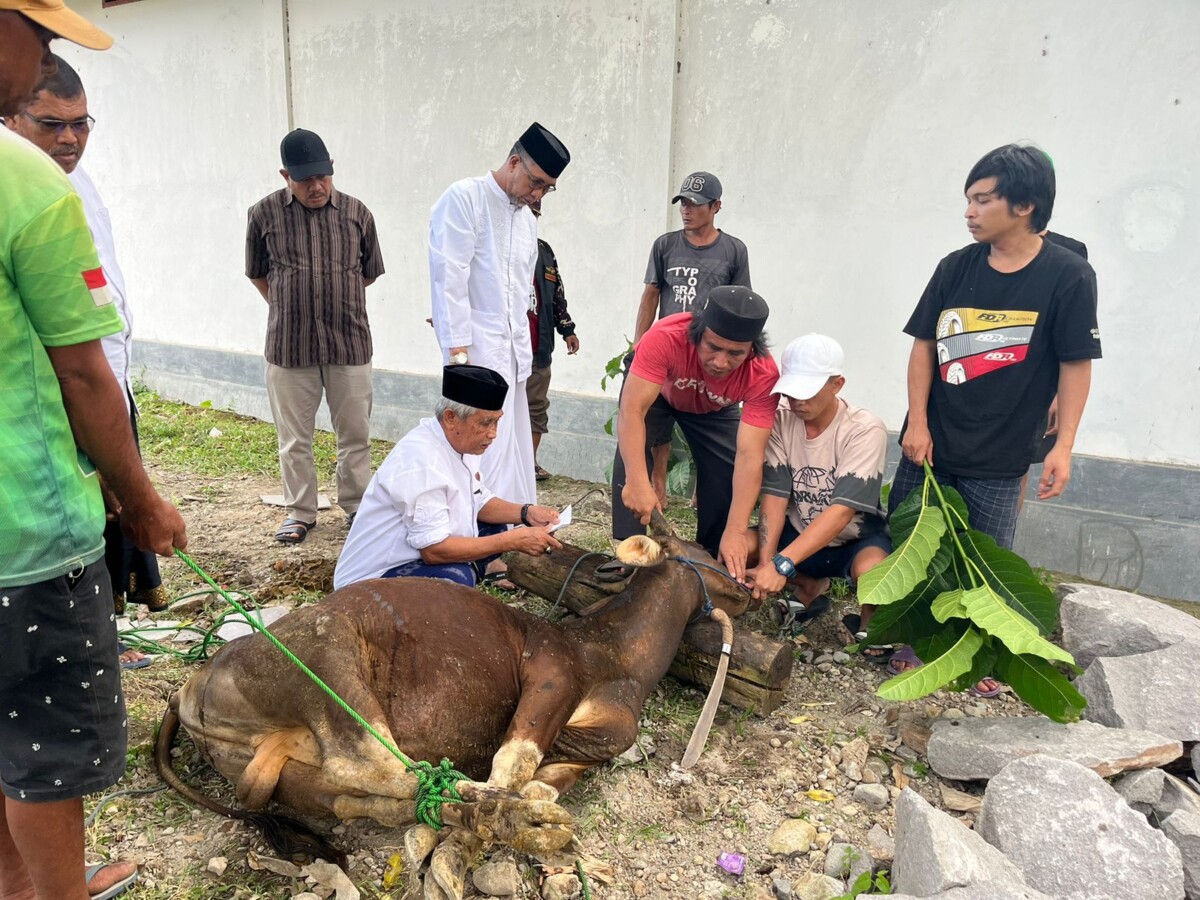 Idul Adha 1446 H, Kemenag Bantaeng Catat 663 Ekor Hewan Kurban