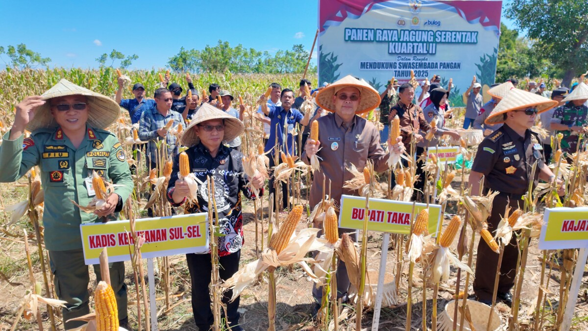 Wabup Takalar Panen Raya Jagung Bersama Presiden Prabowo