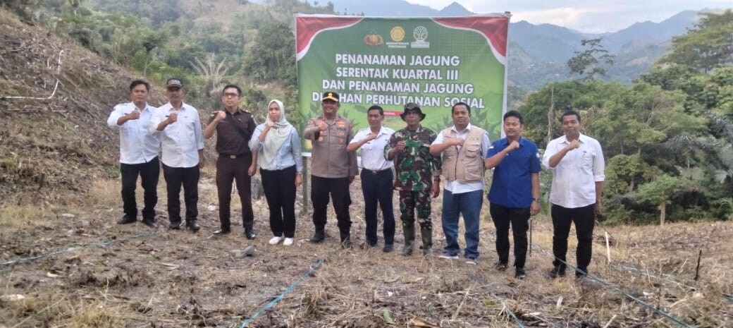 Pemkab - Polres Enrekang Tanam Jagung