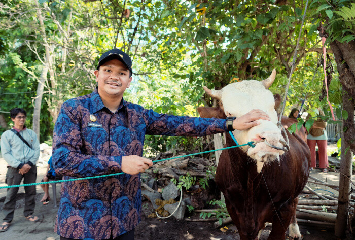 Bupati Uji Nurdin Terima Sapi Kurban Presiden Prabowo untuk Warga Bantaeng