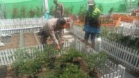Sinergi Polisi dan Masyarakat, Pekarangan Jadi Lumbung Pangan Keluarga