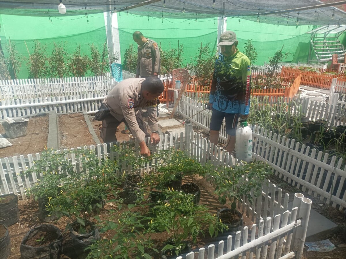 Sinergi Polisi dan Masyarakat, Pekarangan Jadi Lumbung Pangan Keluarga