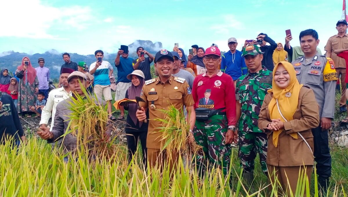 Pertama Di Sulsel, Pemkab Enrekang MoU Dengan Jasindo Terkait Gagal Panen Petani Padi