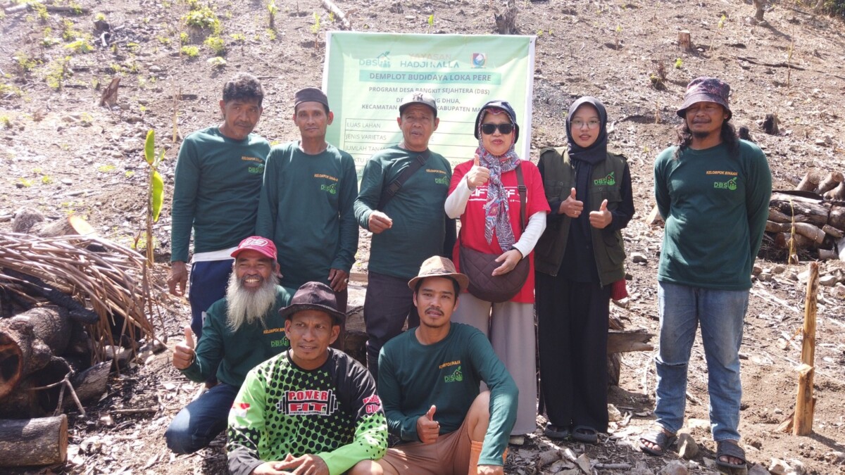 LAZ Hadji Kalla Dorong Kemandirian Petani Loka Pere di Majene Lewat Program Desa Bangkit Sejahtera