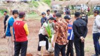 Menteri Pertanian Dijadwalkan Meluncurkan Penanaman Lima Juta Kelapa di Desa Mekar Indah