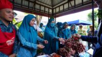 TP PKK Sulsel Gelar B2SA FEST – PKK 2025, Ketua TP PKK Resmi Membuka Kegiatan