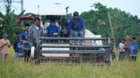 Gowa Target Jadi Lumbung Pangan Mandiri Sulawesi Selatan