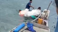 Perahu Terbalik di Perairan Pangkep, 3 Orang Dilaporkan Meninggal Dunia Perahu Terbalik di Perairan Pangkep, 3 Orang Dilaporkan Meninggal Dunia