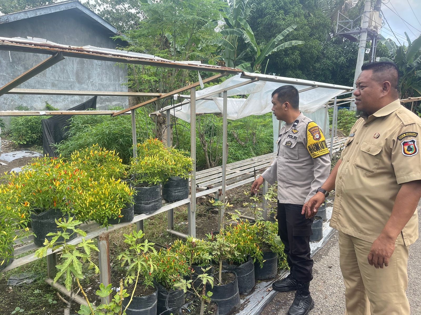 Lahan Sempit Bukan Halangan, Polres Pelabuhan Makassar Dorong Kemandirian Pangan Warga Kota