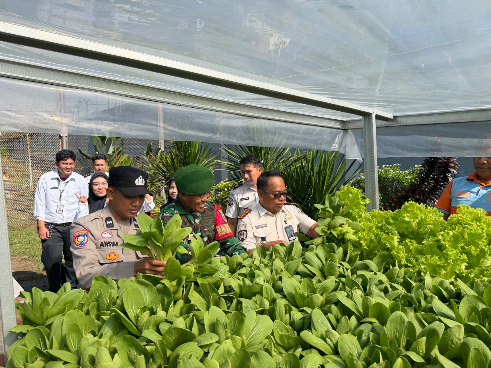 Lapas Narkotika Sungguminasa Panen Sayur Hidroponik di Hari Bakti Pemasyarakatan ke-62