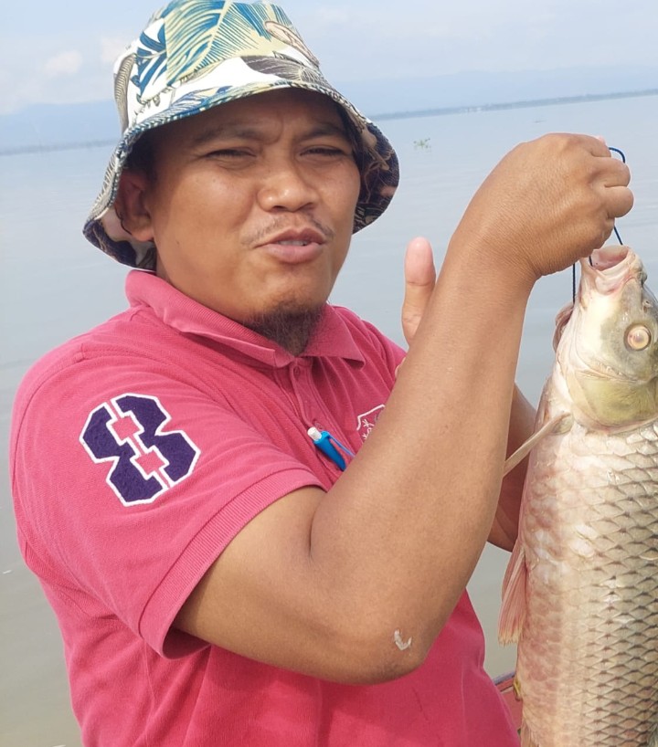 Ikan Sapu-sapu, Apakah Membahayakan atau Tidak?