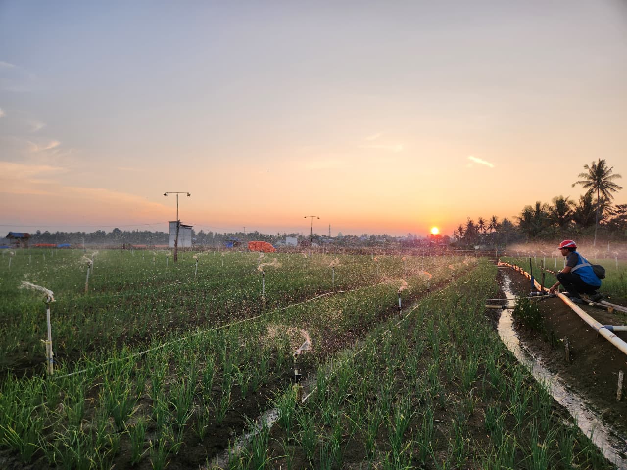 PLN Hadirkan Listrik untuk Petani di Kabupaten Bone, Produktivitas Naik dan Biaya Operasional Turun sampai 74 Persen