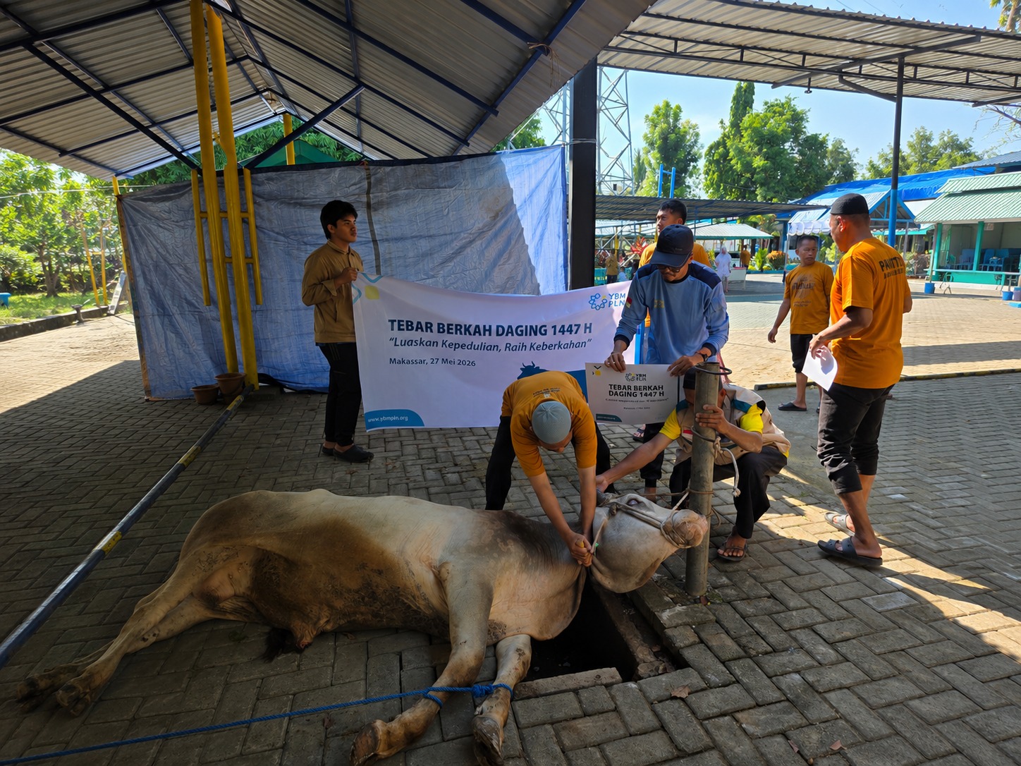 IMG-20260528-WA0000 Tebar Kebaikan Hari Raya Idul Adha, PLN UIP3B Sulawesi Bagikan Terang Melalui Tebar Berkah Daging Kurban