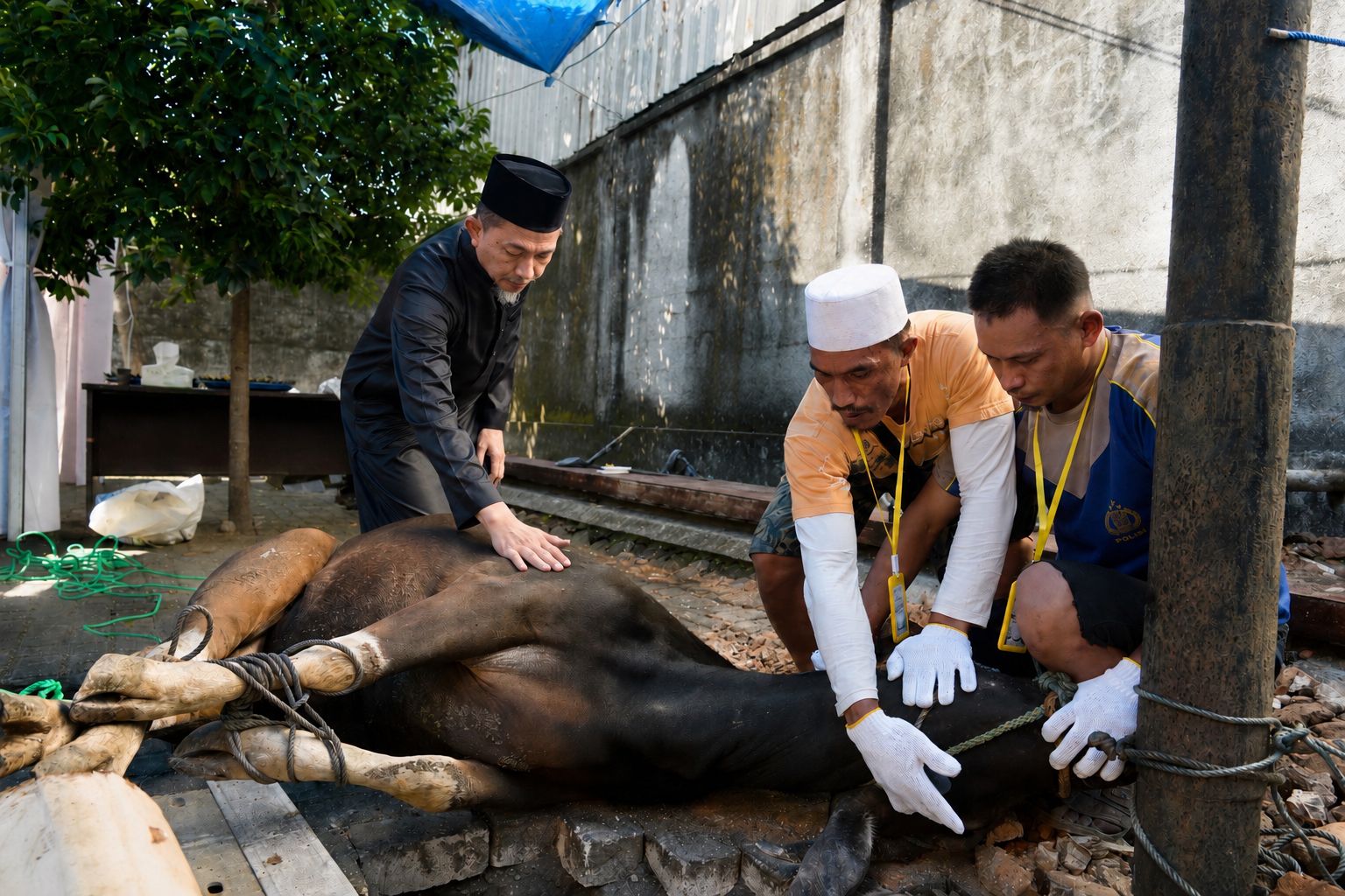 IMG-20260528-WA0003 Idul Adha 1447 Hijriah, PLN UID Sulselrabar Bagikan 6 Ton Daging Hasil 92 Ekor Hewan Kurban untuk Sesama