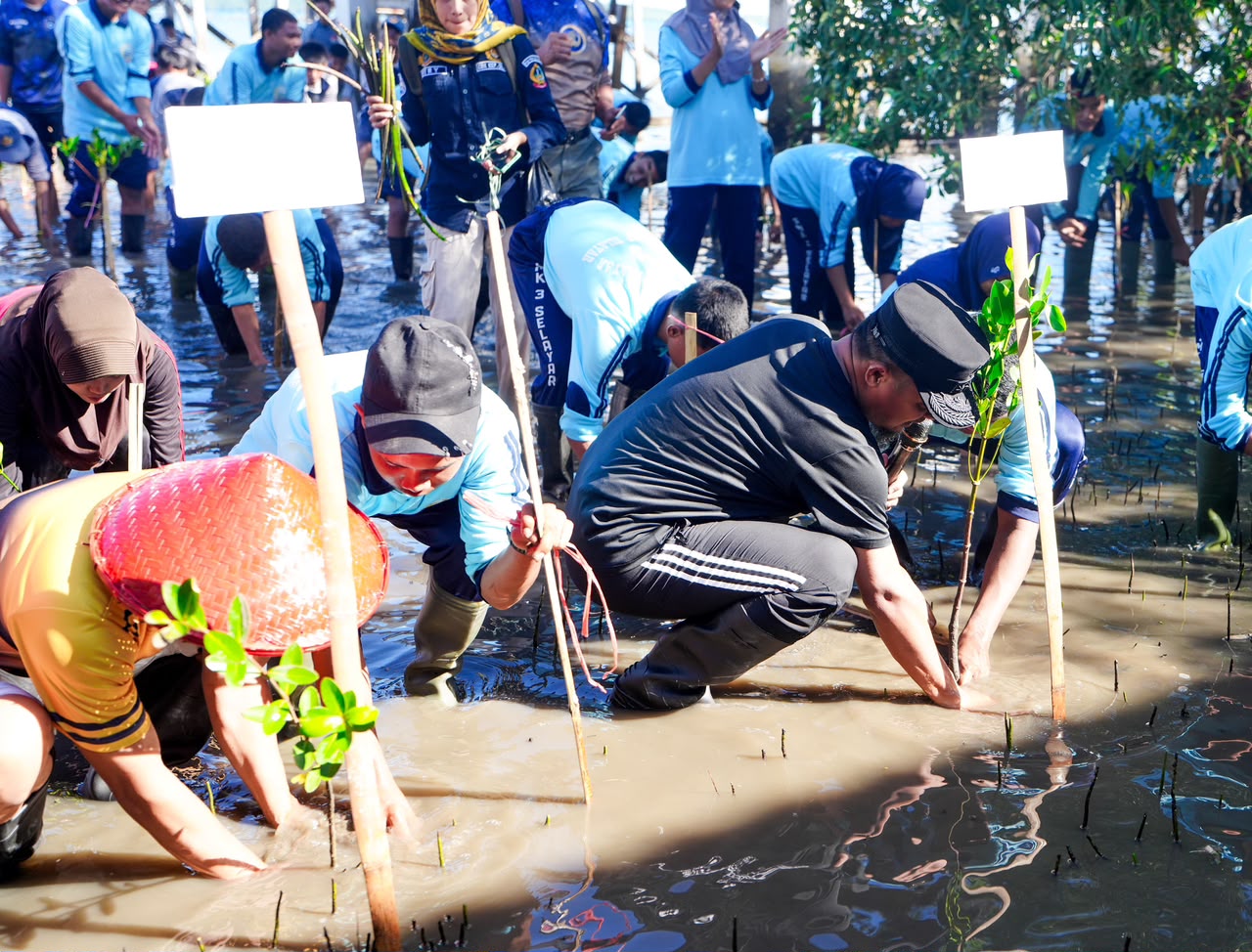 Libatkan Pelajar dan Masyarakat, Gubernur Andi Sudirman Pimpin Aksi Tanam Mangrove di Selayar