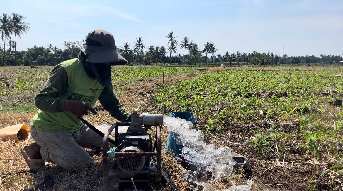 Bupati Sidrap Apresiasi PLN, Pompanisasi Listrik Diyakini Dongkrak Produktivitas Petani
