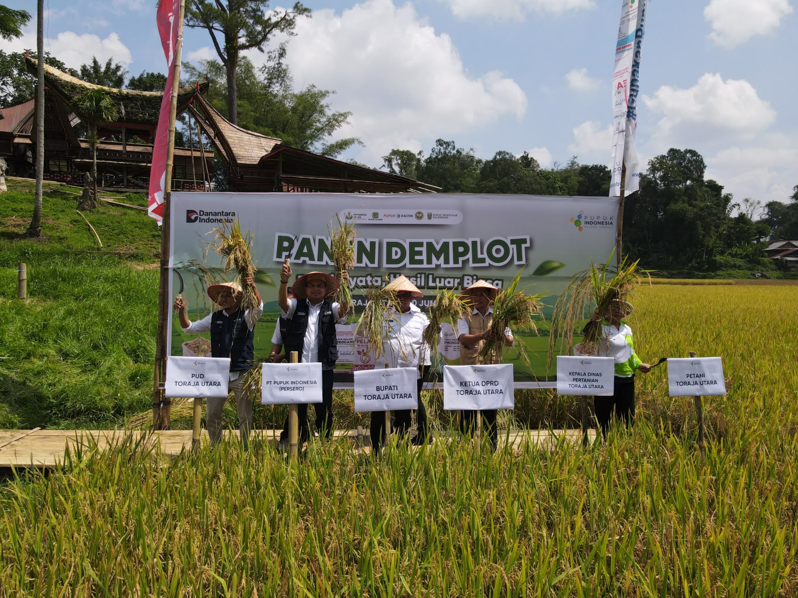 Pemupukan Berimbang Dongkrak Produksi Padi Toraja Utara hingga 63 Persen