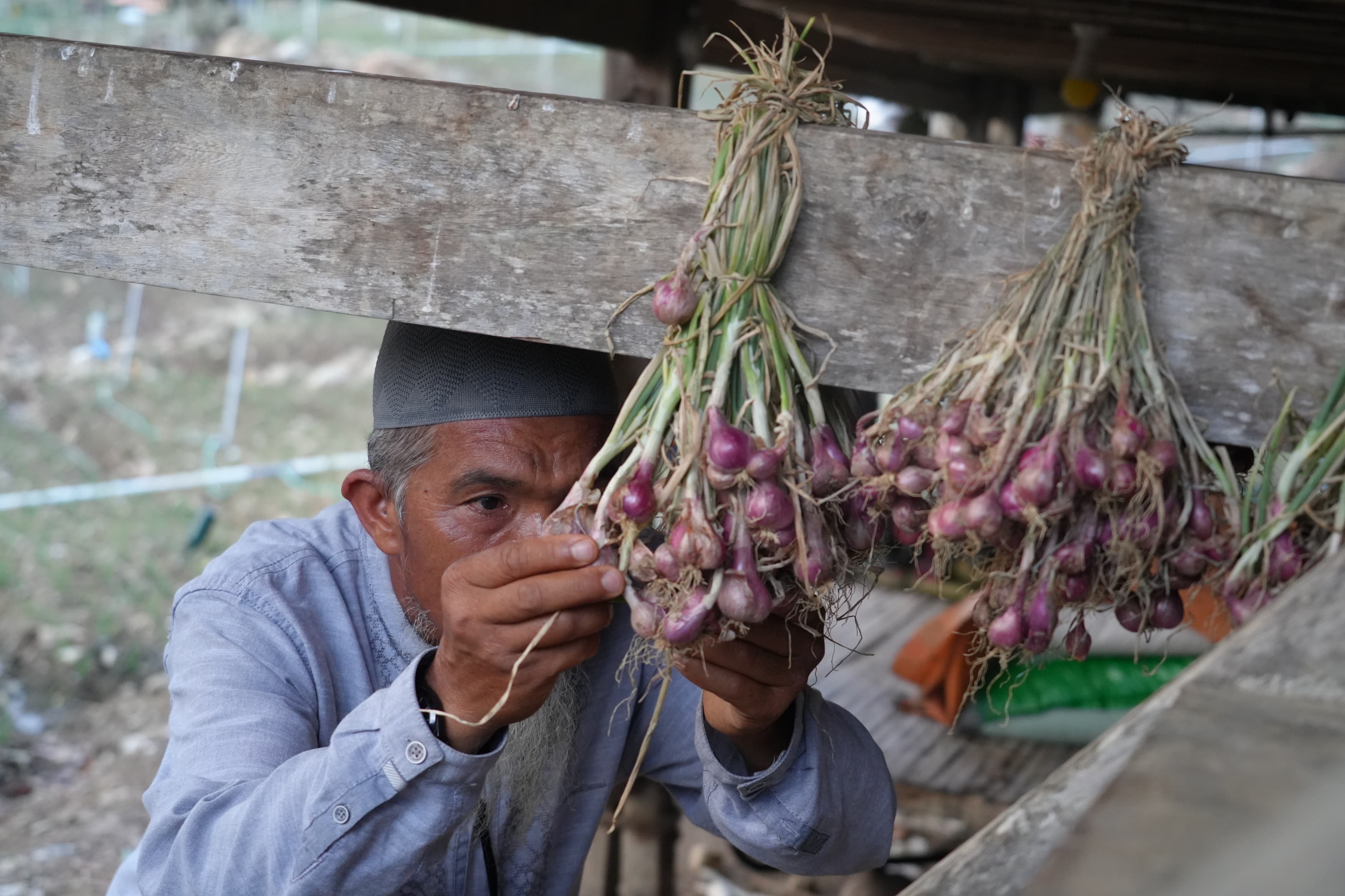 PLN Hadirkan Energi untuk Petani, Menumbuhkan Harapan dan Menguatkan Ketahanan Pangan Negeri