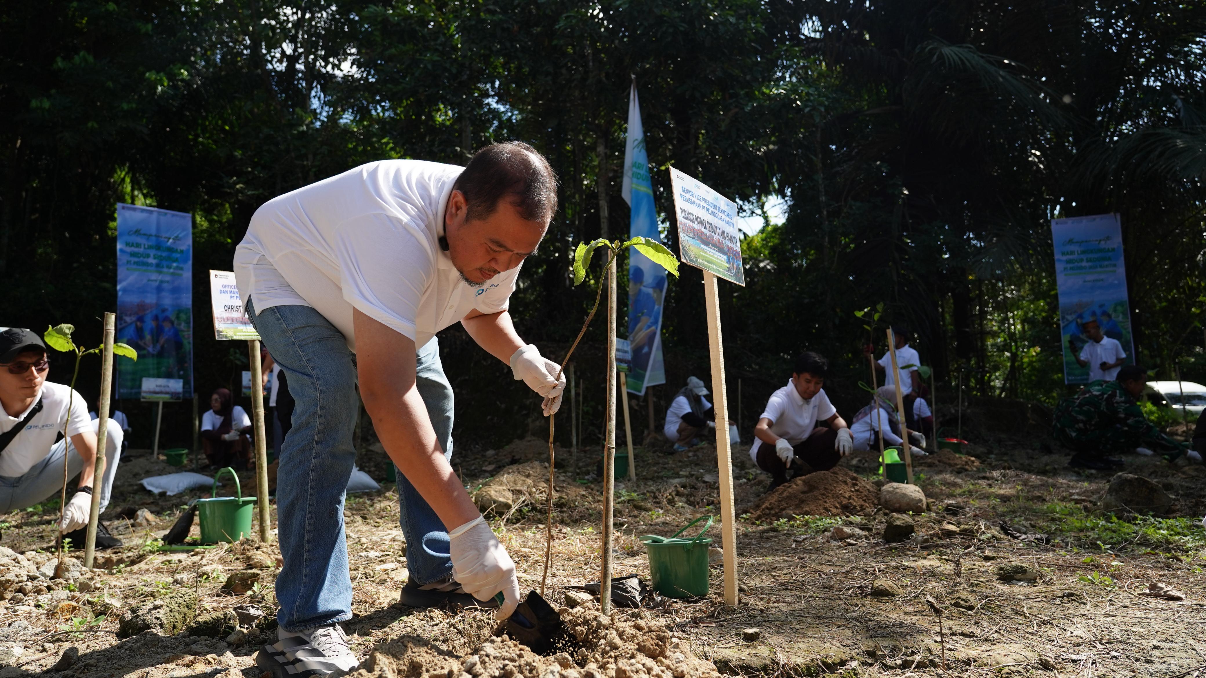 PJM Hijaukan Maros dengan 2.500 Pohon, Wujud Nyata Dukungan terhadap SDGs