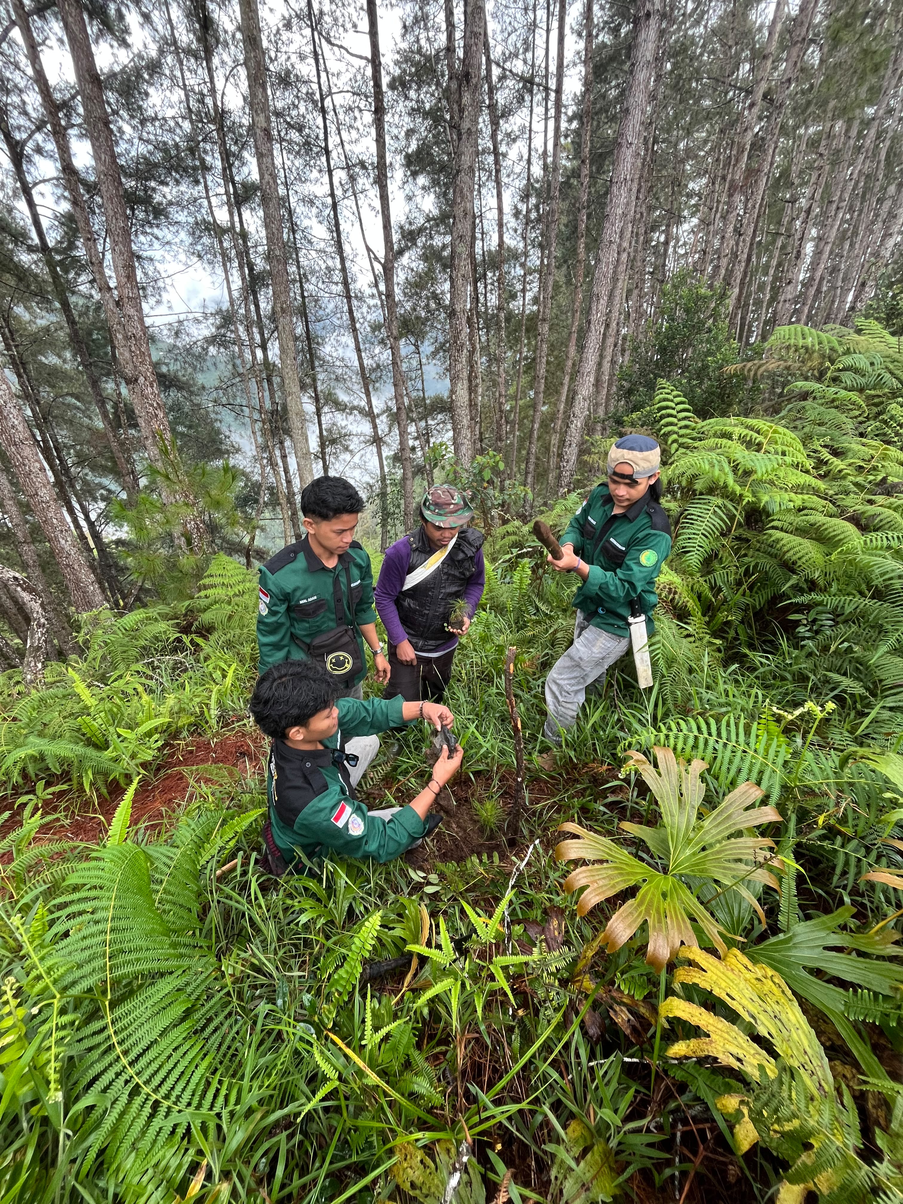 Jaga Kelestarian Lingkungan, HIMAGRO UNIMEN Lakukan Penghijauan Hutan Pinus Pasongken