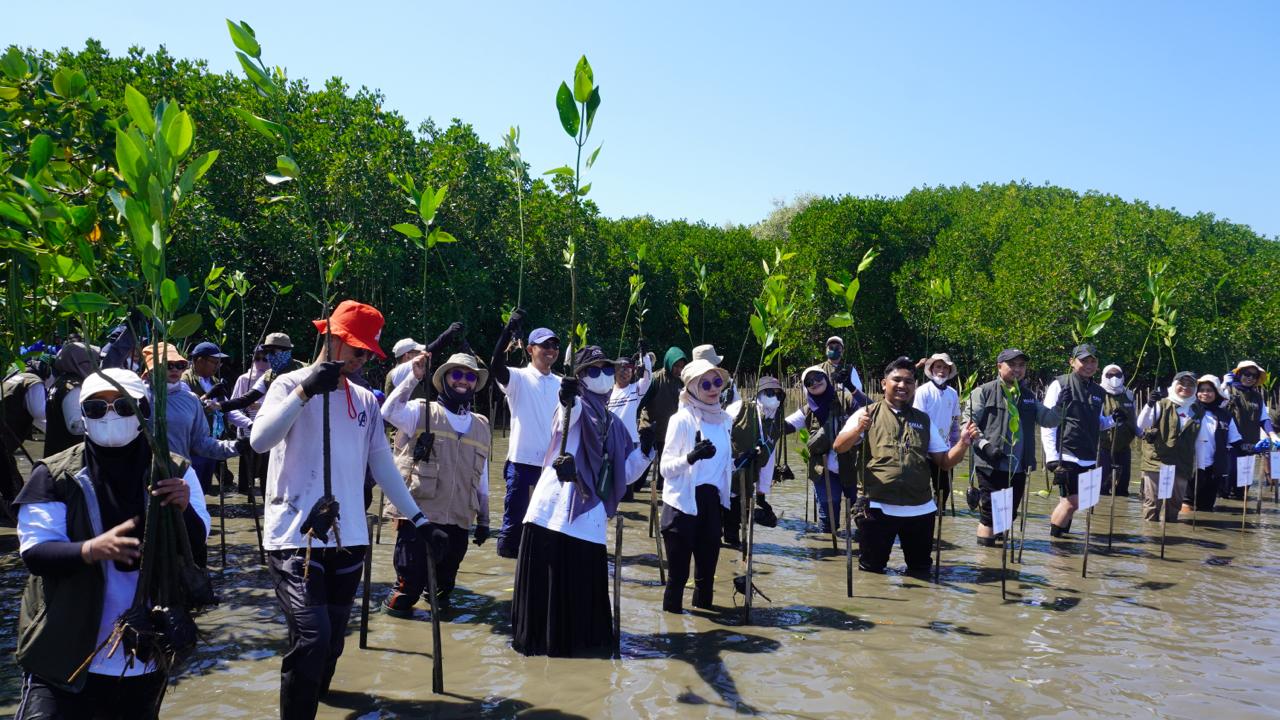 Aksi Mangrove Lestari, Komitmen Nyata Kalla Translog dalam Mendukung Keberlanjutan Lingkungan
