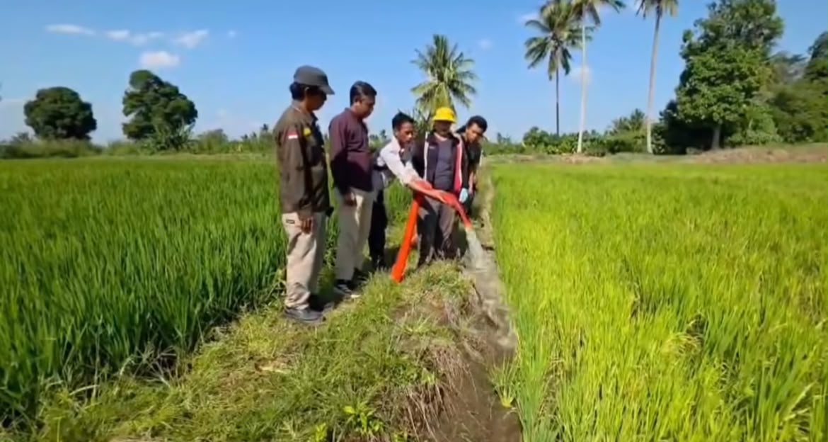 Kekeringan Ancam Pertanian, Gubernur Sulsel: Tim Sudah Lakukan Pompanisasi di Lapangan